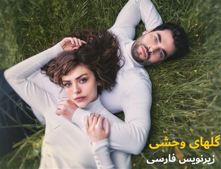 Golhaye Vahshi - Zirnevis Farsi